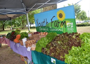 youth farm sign behind a large amount of fresh produce