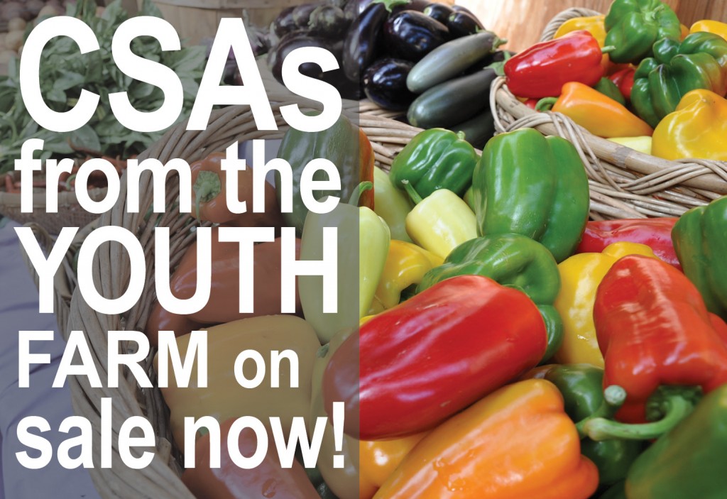 csa on sale now FEATURED EVENT IMAGE