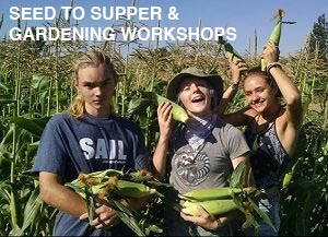 Kids harvesting corn and smiling. text reads seed to supper & gardening workshops.