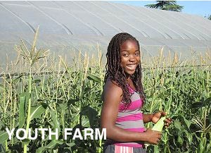 Young girl holding an ear of corn and smiling. text reads youth farm