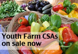 youth farm csas on sale now