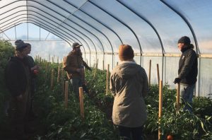 four people stand inside a greenhouse with plants