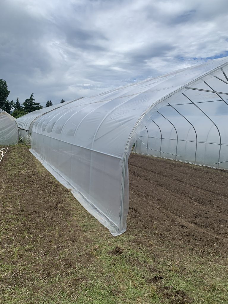 ground beneath the grow tunnel has been tilled in preparation for planting