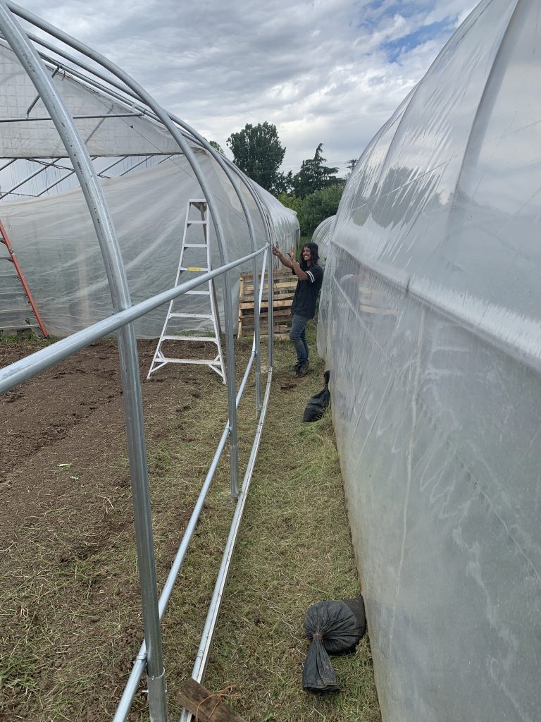 person with long curly hair and backwards baseball cap stands between two grow tunnels installing frame for one, making the peace sign with their left hand and smiling