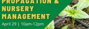Greenhouse Propagation & Nursery Management Workshop