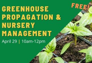 Greenhouse Propagation & Nursery Management Workshop