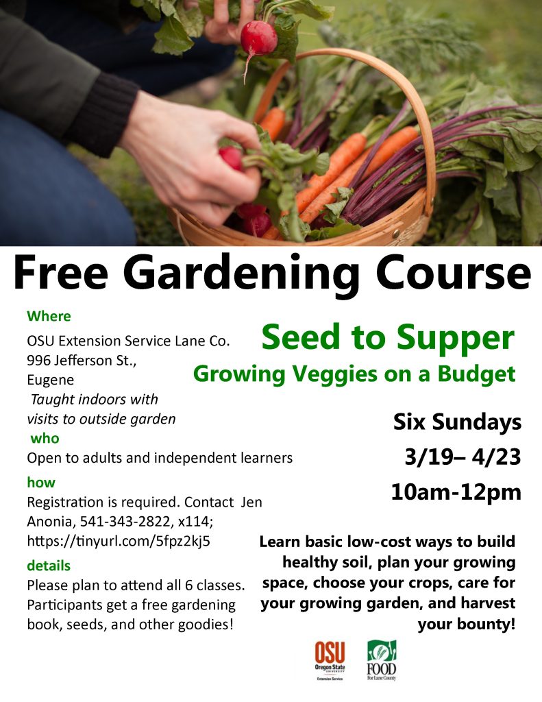 Free Gardening Course Where OSU Extension Service Lane Co. 996 Jefferson St., Eugene Taught indoors with visits to outside garden who Open to adults and independent learners how Registration is required. Contact Jen Anonia, 541-343-2822, x114; https://tinyurl.com/5fpz2kj5 details Please plan to attend all 6 classes. Participants get a free gardening book, seeds, and other goodies! Seed to Supper Learn basic low-cost ways to build healthy soil, plan your growing space, choose your crops, care for your growing garden, and harvest your bounty! Growing Veggies on a Budget Six Sundays 3/19– 4/23 10am-12pm