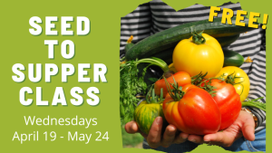 Free six week gardening class to grow veggie on a budget