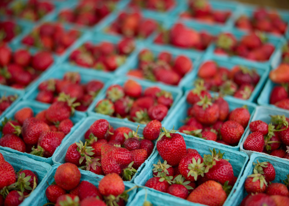 Community Supported Agriculture