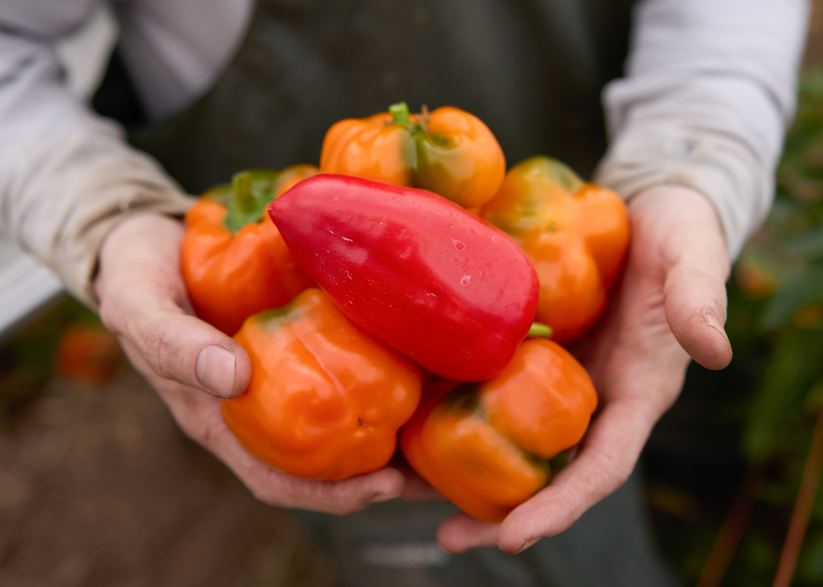 Trillium Produce