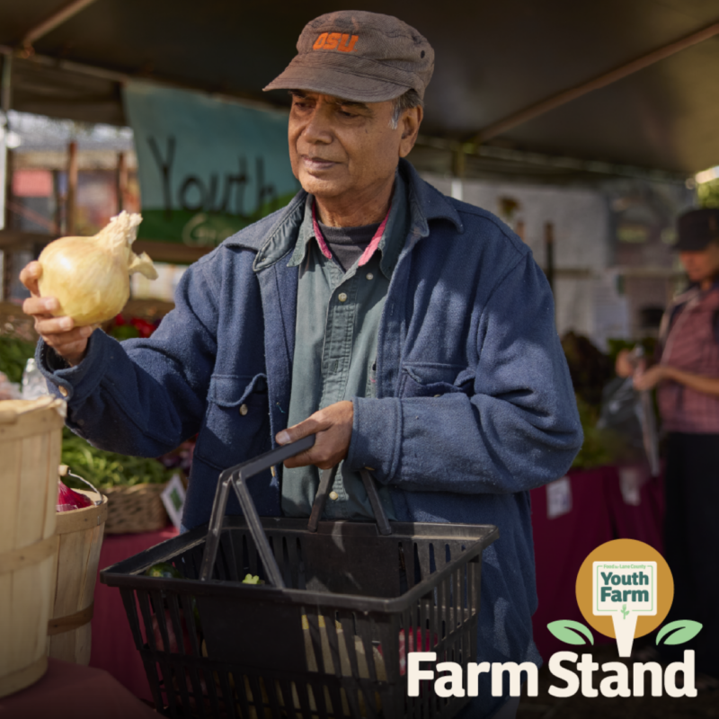 YF farm stand 1200x1200