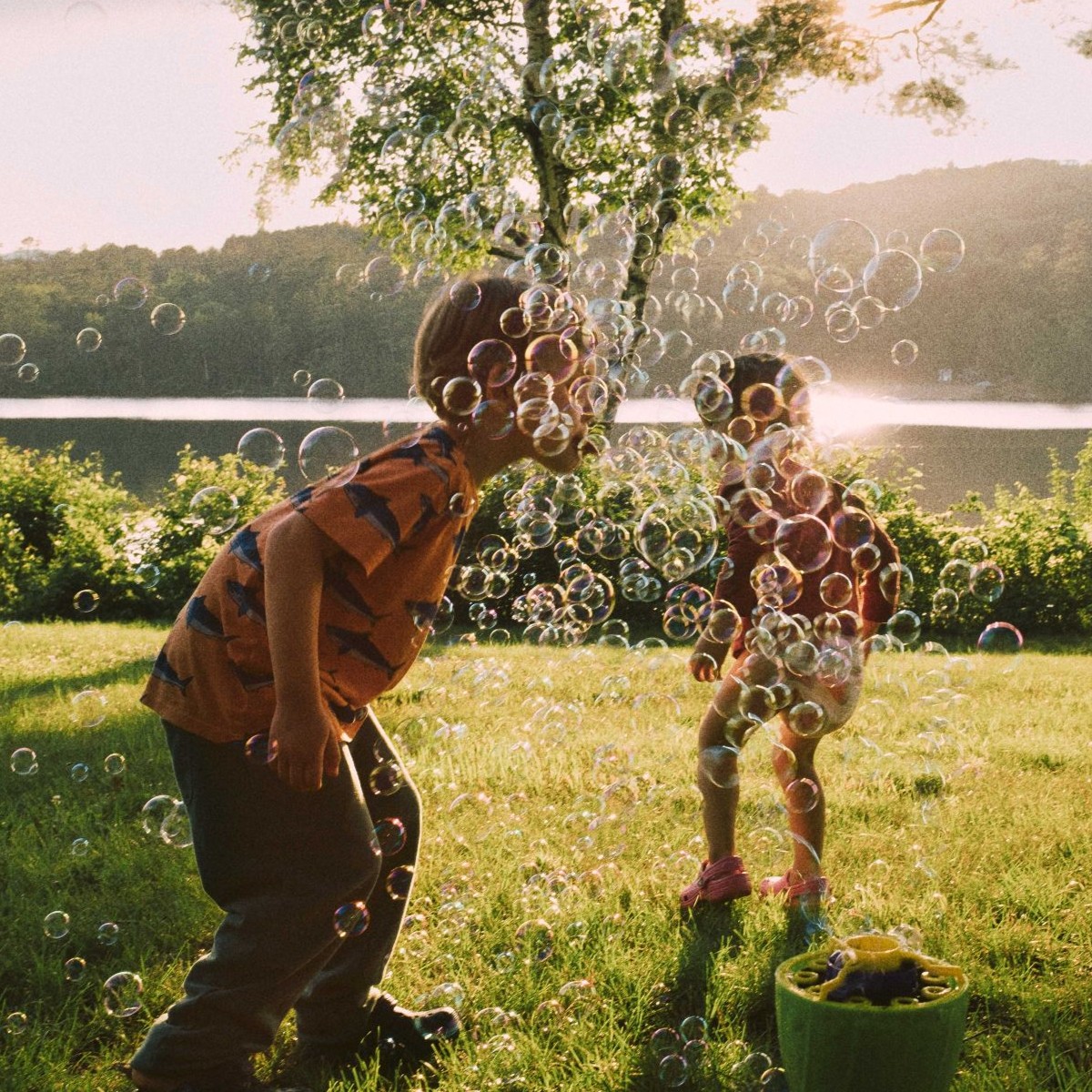Albertsons bubbles pic 1200x1200