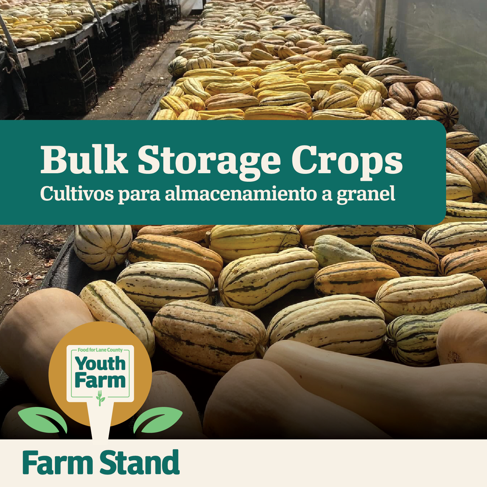 Bulk Storage Crops 1